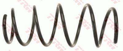 TRW JCS1395 Пружина подвески  для FIAT (Фиат)