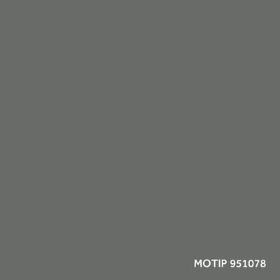 Vozidlo - kombinovaný lak MOTIP M951078
