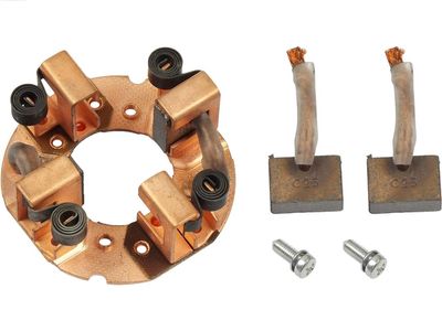 AS-PL Halter, Kohlebürsten