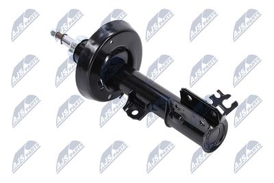 AMORTIZOR NTY APL060 12