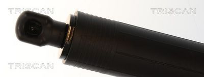 Plynárenská vzpera (pneumatická pružina), zavazadlový priestor TRISCAN 8710 16318
