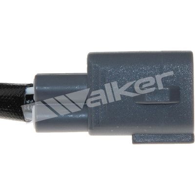 LAMBDASONDE WALKER PRODUCTS 250241079 2