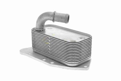 RADIATOR ULEI ULEI MOTOR VEMO V40602099 6