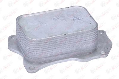 RADIATOR ULEI ULEI MOTOR BIRTH 80842 6