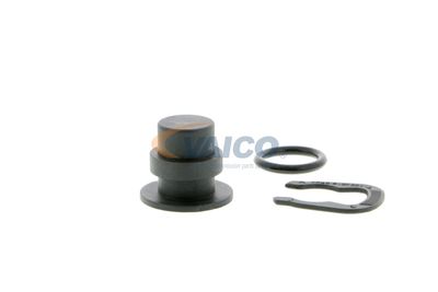 CAPAC FLANSA SISTEM DE RACIRE VAICO V100492 44