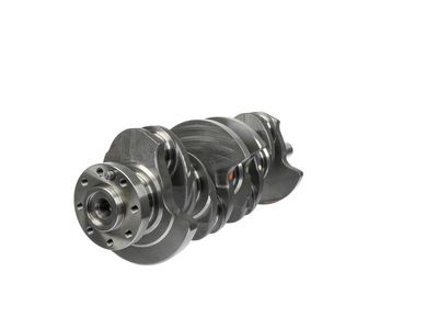 ARBORE COTIT ET ENGINETEAM HK0224 25