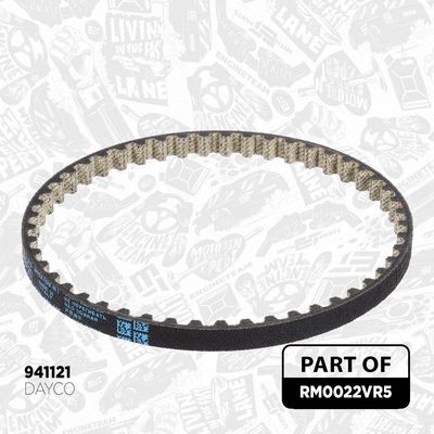 SET CUREA DE DISTRIBUTIE ET ENGINETEAM RM0022VR5 7