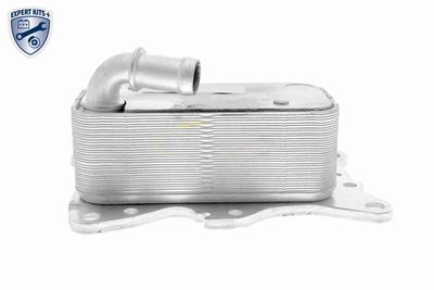 RADIATOR ULEI ULEI MOTOR VEMO V30600007 2