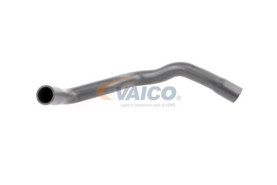 FURTUN RADIATOR VAICO V203246 58