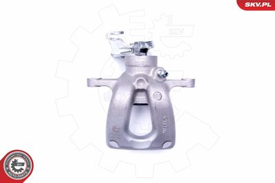 Brake Caliper 44SKV054