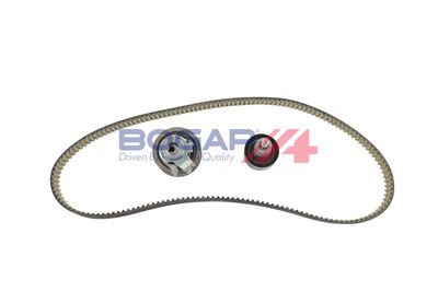 SET CUREA DE DISTRIBUTIE BOGAP A1374100 1