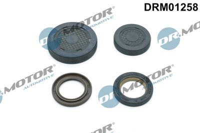 Dr.Motor Automotive DRM01258 Коромысло  для RENAULT SANDERO/STEPWAY (Рено Сандеро/степwа)