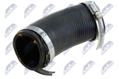 FURTUN EAR SUPRAALIMENTARE NTY GPPFR051 1