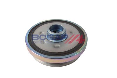 FULIE CUREA ARBORE COTIT BOGAP B1213154