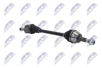 PLANETARA NTY NPWCT163 10