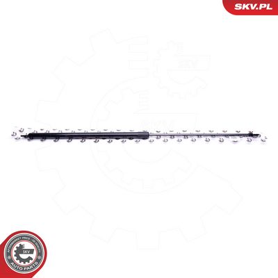 Dujinė spyruoklė, gaubtas