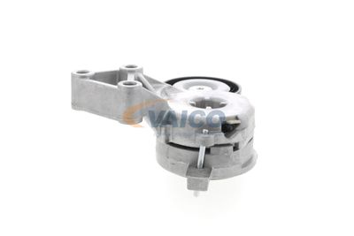 INTINZATOR CUREA CUREA DISTRIBUTIE VAICO V100553 48