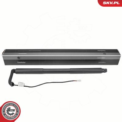 Elektromotor, zadní dveře ESEN SKV 52SKV979