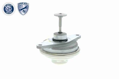 SUPAPA EGR VEMO V406300241 5