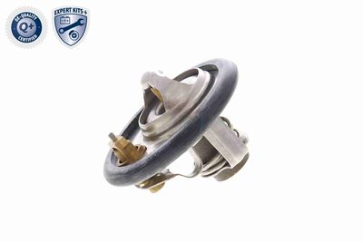 TERMOSTAT LICHID RACIRE ACKOJA A53990008 6