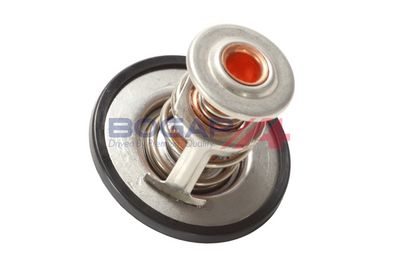 TERMOSTAT LICHID RACIRE BOGAP S4234103 3