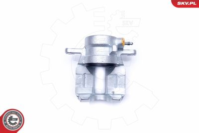 Brake Caliper 42SKV351