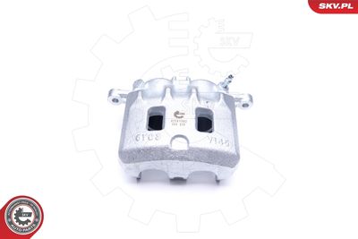 Brake Caliper 42SKV982