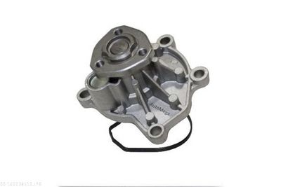 POMPă DE APă RăCIRE MOTOR