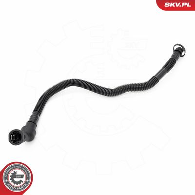 Žarna, karterio alsuoklis