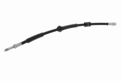 FURTUN FRANA VAICO V107974