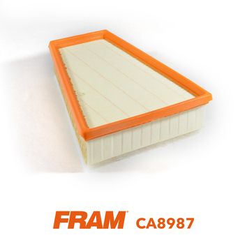 FRAM CA8987