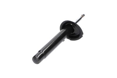 AMORTIZOR Kavo Parts SSA10485 6