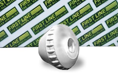 окачване, двигател FIRST LINE FEM3169
