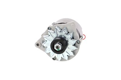 GENERATOR / ALTERNATOR REMANTE 011003000065R 64