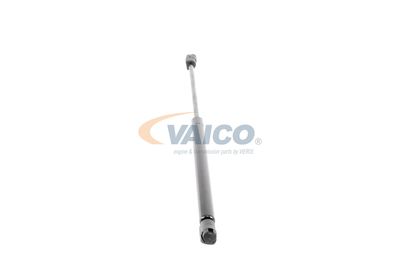 GASFEDER KOFFER-/LADERAUM VAICO V250229 49