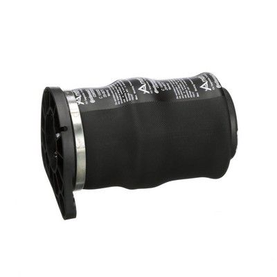 LUFTFEDER FAHRWERK Arnott A2799 41