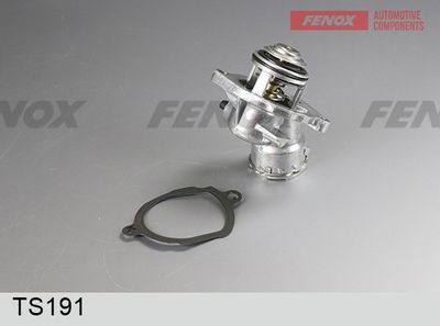 термостат, охладителна течност FENOX TS191