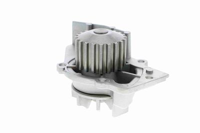 POMPă DE APă RăCIRE MOTOR VAICO V2250002 3