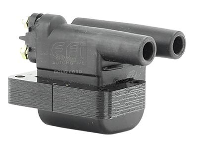 запалителна бобина EFI AUTOMOTIVE 155306
