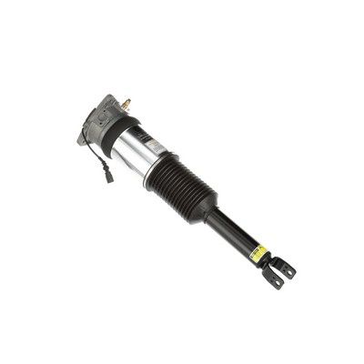 LUFTFEDERBEIN Arnott AS2965 55