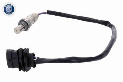 LAMBDASONDE VEMO V24760036 6