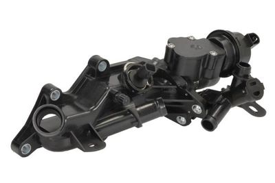 TERMOSTAT LICHID RACIRE