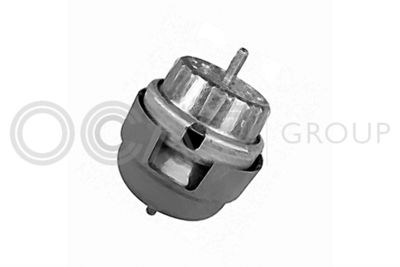 OCAP 1226081 Подушка двигателя для AUDI A6 C6 Avant (4F5)