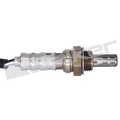 LAMBDASONDE WALKER PRODUCTS 25024944 1