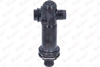 FLANSA LICHID RACIRE BIRTH 81773 10