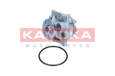 Water Pump, engine cooling T0129