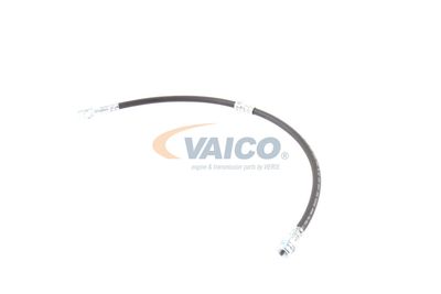 FURTUN FRANA VAICO V103077 18