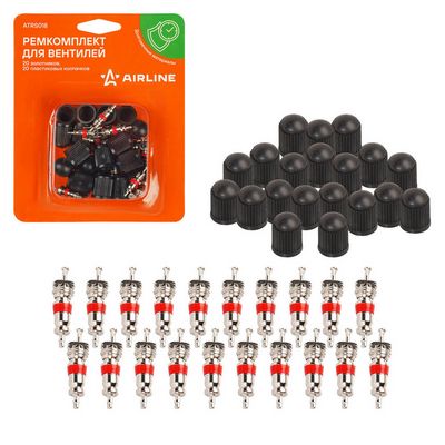 Комплект золотников, сервисный нипель Airline ATRS018