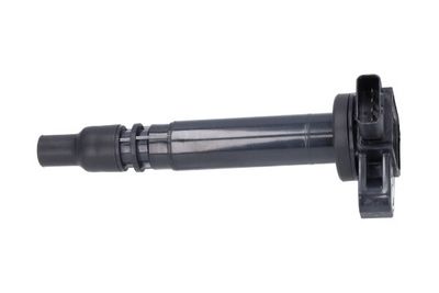 Kavo Parts Ritė, uždegimas