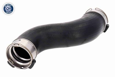 FURTUN EAR SUPRAALIMENTARE